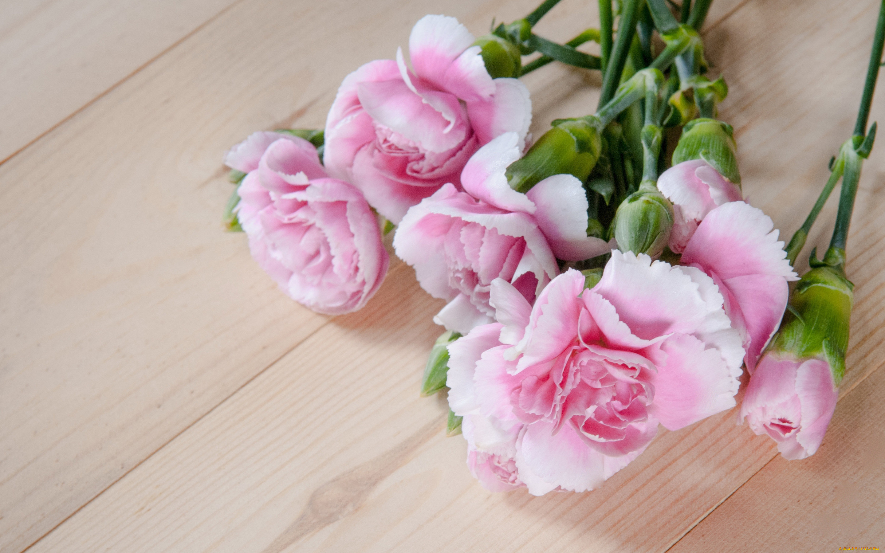 , , pink, wood, , , flowers